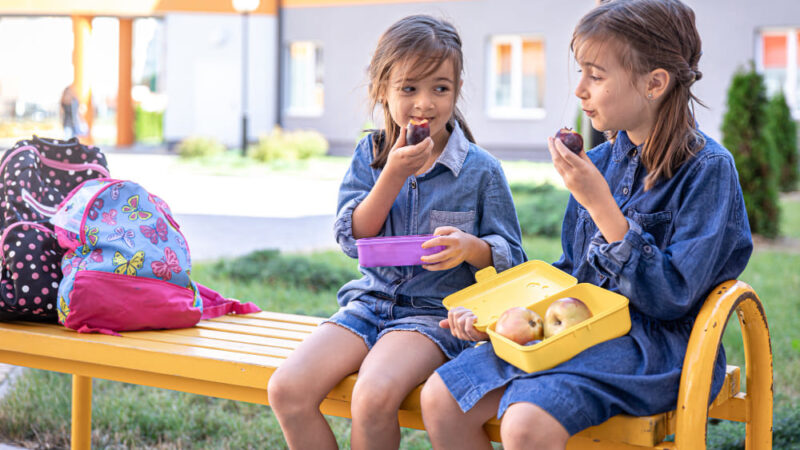 Mellanmål barn Nyttiga och enkla idéer för varje dag