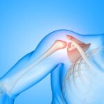 axel anatomi muskler